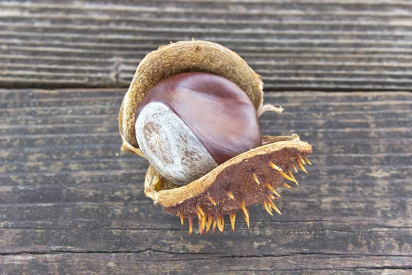 Bagas de castanha em fundo de madeira — Fotografia de Stock