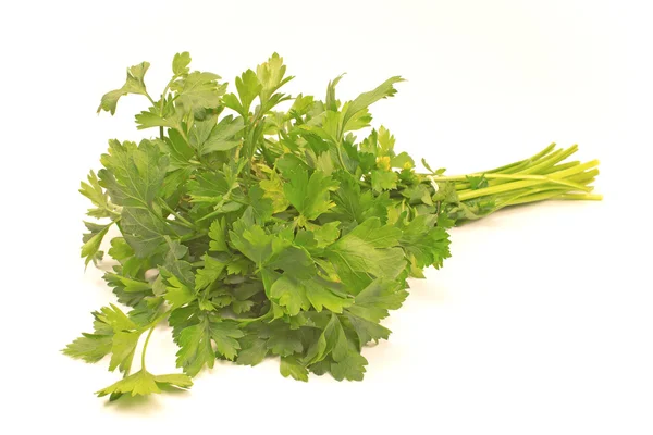 Hoja de perejil aislada en blanco — Foto de Stock