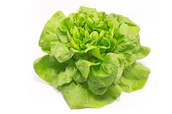 Fresh lettuce isolated on white background — Stock Photo, Image