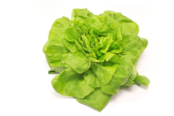 Lechuga fresca aislada sobre fondo blanco — Foto de Stock