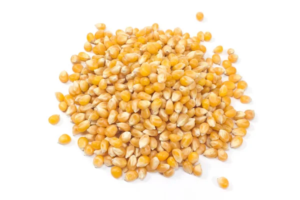 Pop corn seed isolated on white — Stock Photo, Image