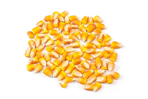 Hybride maïs zaad stapel geïsoleerd op witte achtergrond — Stockfoto