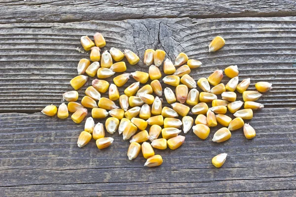 Pilha de semente de milho no fundo de madeira — Fotografia de Stock
