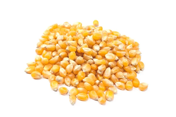 Pop kukorica vetőmag elszigetelt fehér — Stock Fotó
