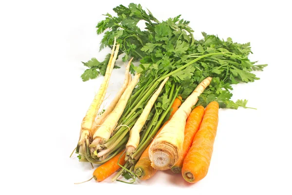 Prezzemolo e carota isolati su fondo bianco — Foto Stock