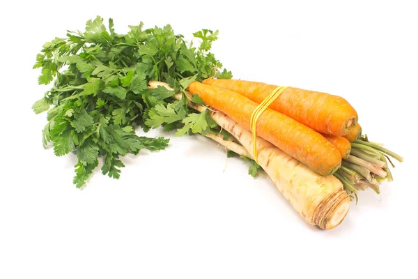 Perejil y zanahoria aislados sobre fondo blanco — Foto de Stock