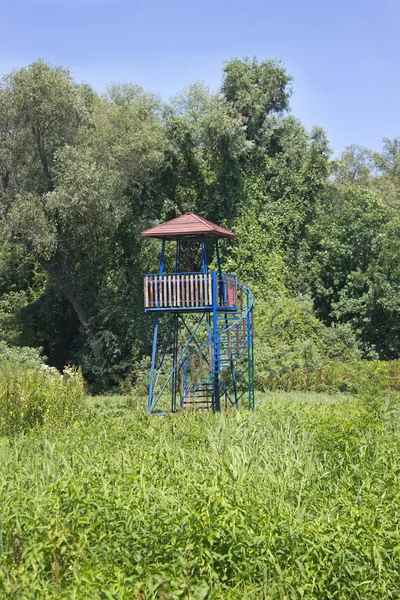 Bird watching tower in a forest — Stock Photo, Image