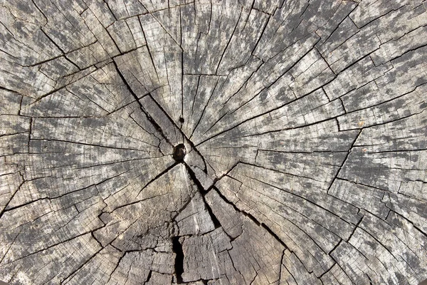 Eski günlük doku arka plan olarak kuru.