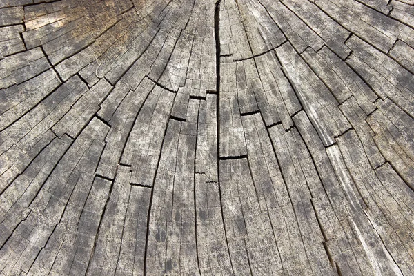 Old dry log texture as background — Stock Photo, Image