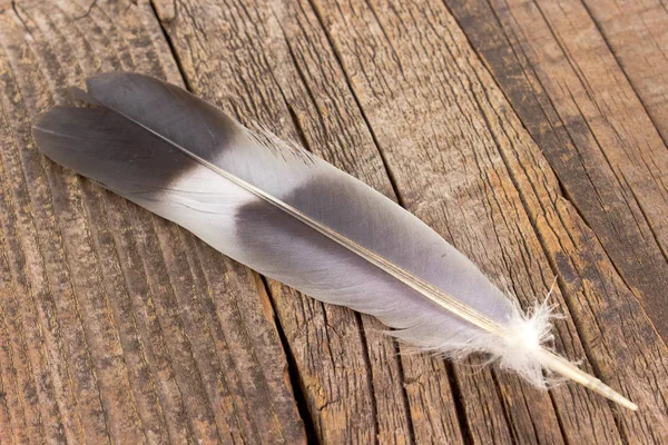 Eski ahşap arka plan üzerinde tüy