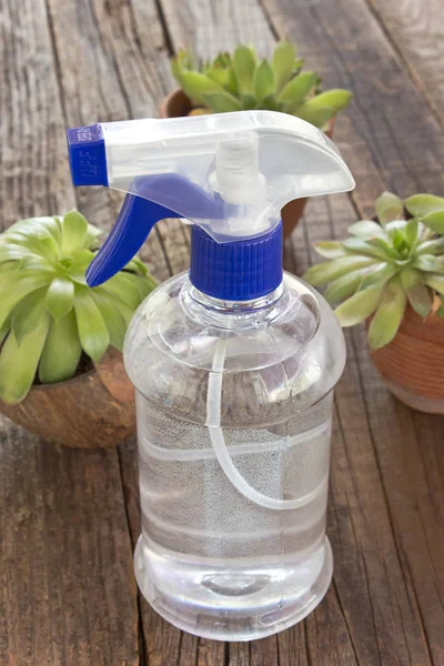 Botella de plástico azul con plantas en maceta sobre fondo de madera — Foto de Stock