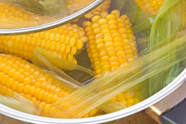 Gekookte maïs cobs in pot close-up — Stockfoto