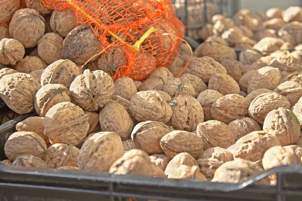 Walnuts pile in plastic crate — Stock Photo, Image