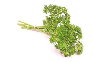 Beyaz arka plan üzerinde izole Fransız maydanoz Frenk maydanozu