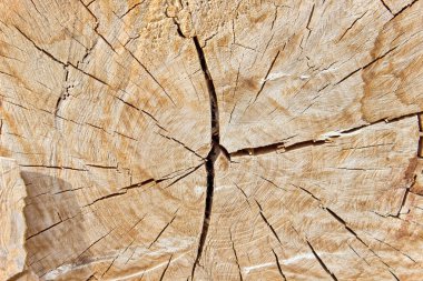 Arka plan olarak günlük doku