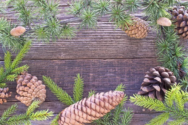 Merry Christmas frame with pine tree needles and cones on wooden background — Stock Photo, Image