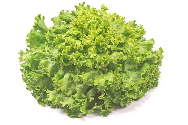 Fresh lettuce isolated on white background — Stock Photo, Image