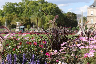 Paris 'teki Lüksemburg Bahçesi
