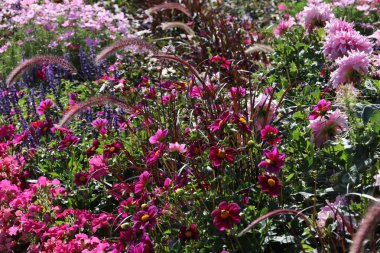 Paris 'teki Lüksemburg Bahçesi