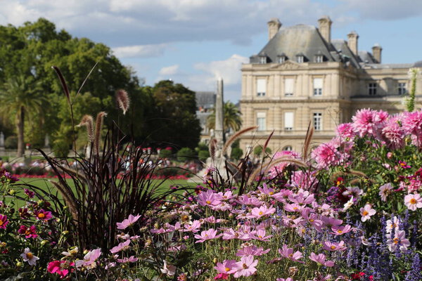 Люксембургский сад и французский Сенат в Париже
