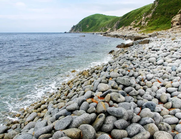 Mar rocoso de la costa de Japón — Foto de Stock