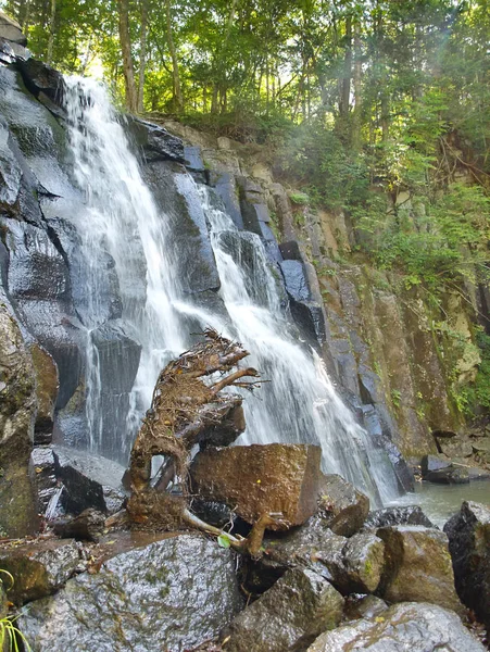 Cascada Neozhidanniy en el bosque — Foto de Stock