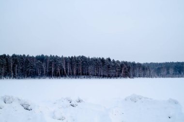 Kış alan mavi orman hattı ile