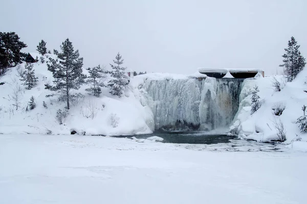 Зимний водопад в лесу — стоковое фото