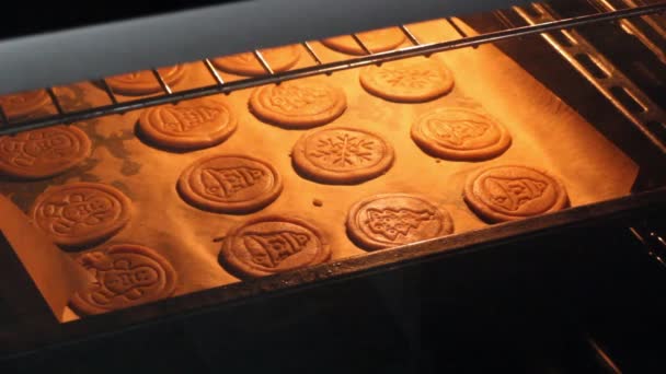 Biscoitos de Natal cozidos no forno — Vídeo de Stock