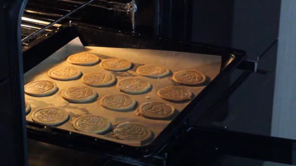 Doe een koekjesvel in de oven. — Stockvideo