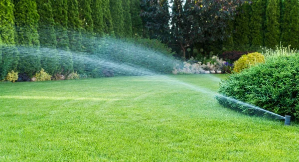 Öntözés a zöld fű, sprinkler rendszer. — Stock Fotó