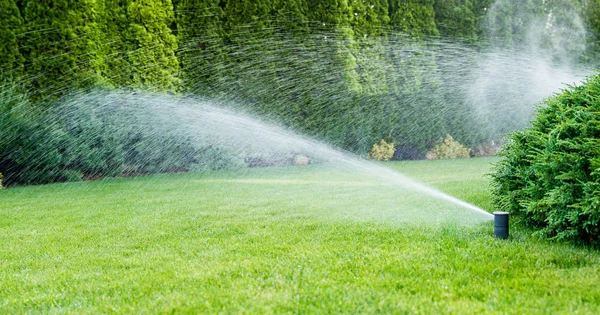 Irrigation of the green grass with sprinkler system. — Stock Photo, Image