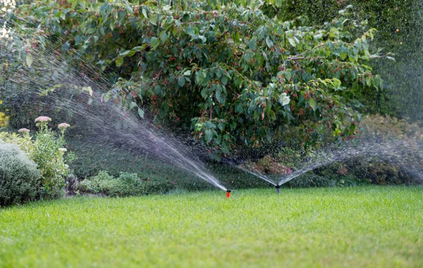 Irrigation of the garden with sprinkler system. — Stock Photo, Image