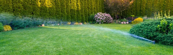 Riego de la hierba verde con sistema de rociadores. — Foto de Stock