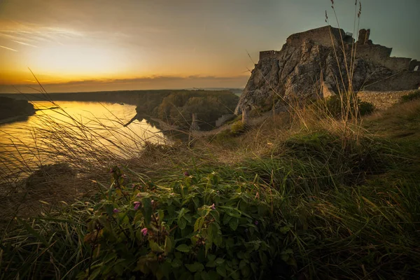 La couleur dorée du château de Devin pendant le coucher du soleil, Slovakia.Castle, devin, Slovaquie , — Photo