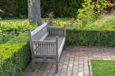Old bench in the park during sunny day.