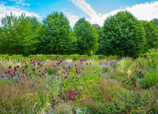 Gran Jardín Con Flores Color Árboles Detrás Cielo Azul Sobre Imagen de stock
