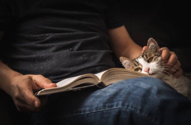 Kanepede kedi kucaklaşmasıyla kitap okumak..
