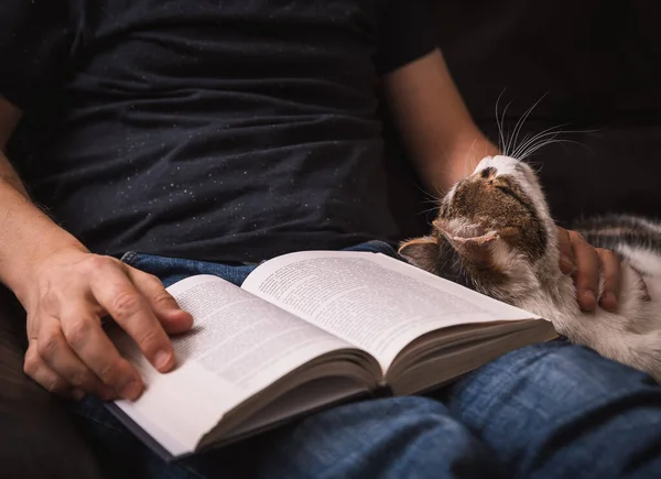 Livre Lecture Sur Canapé Avec Câlins Chat Images De Stock Libres De Droits