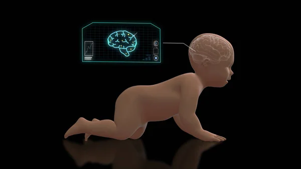 3D render x-ray tarama bebeğin beyninin içinde screen.3d işleme grafik araştırma ile