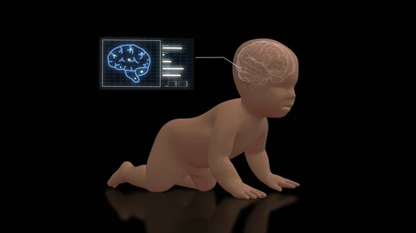 Mozek baby rentgenové grafiky s grafikou výzkumu na screen.3d vykreslování — Stock fotografie