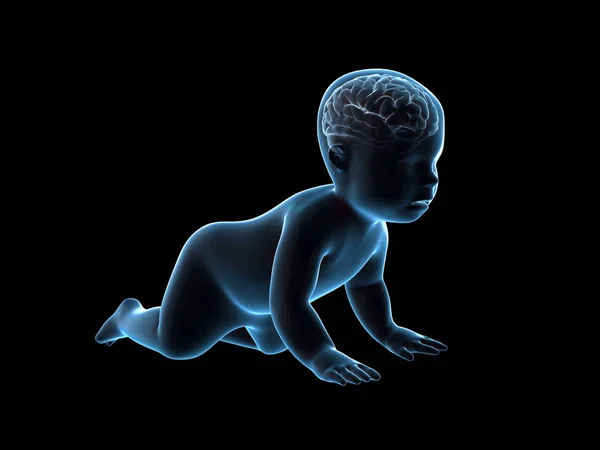 3D raio-x de renderização do bebê rastejando com o cérebro dentro . — Fotografia de Stock