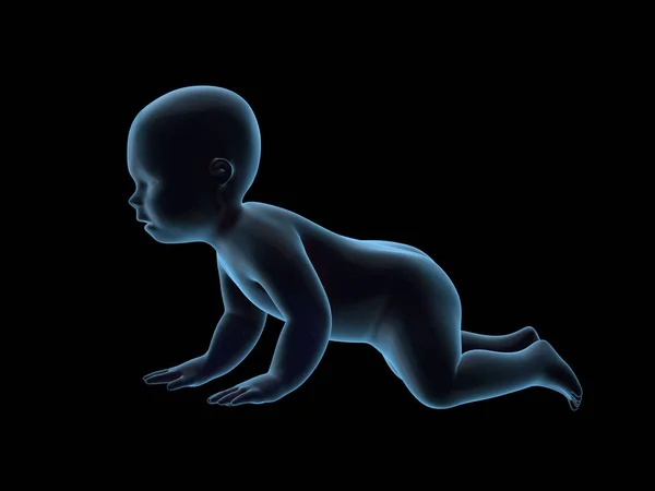 3d 渲染 x 射线的爬行的婴儿. — 图库照片