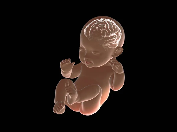 Cervello di bambino raggi x graphic.3D rendering — Foto Stock