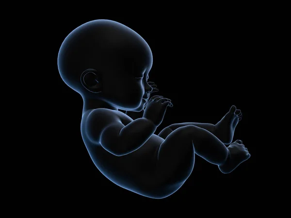 아기의 3d 렌더링 x 선. — 스톡 사진