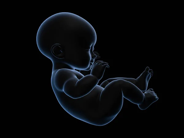 Radiographie de rendu 3D du bébé . — Photo