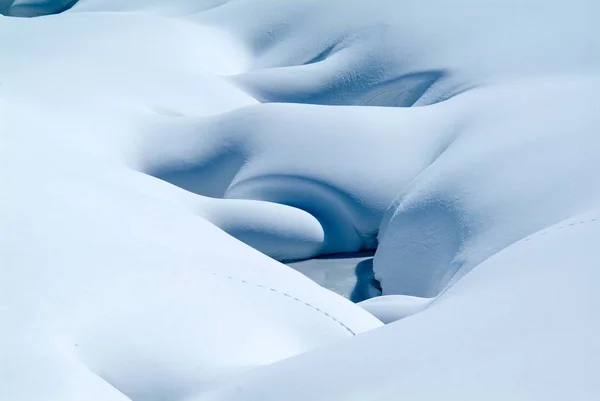 Świeże ślady zwierząt na śniegu — Zdjęcie stockowe