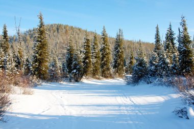Günbatımı ağaçlar arasında ahşap