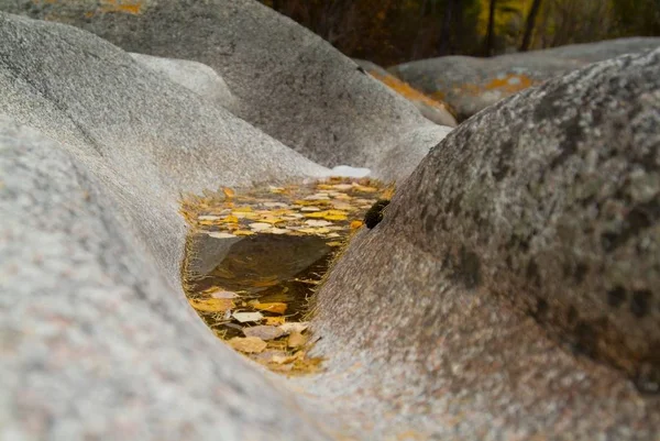 Жовтий кленовий лист на поверхні води серед скель — стокове фото