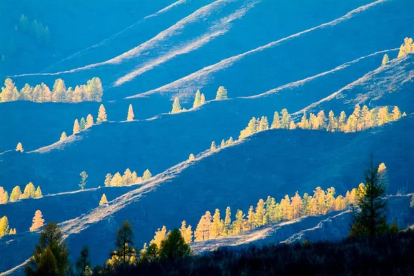 Siluetas de árboles en las montañas al atardecer —  Fotos de Stock